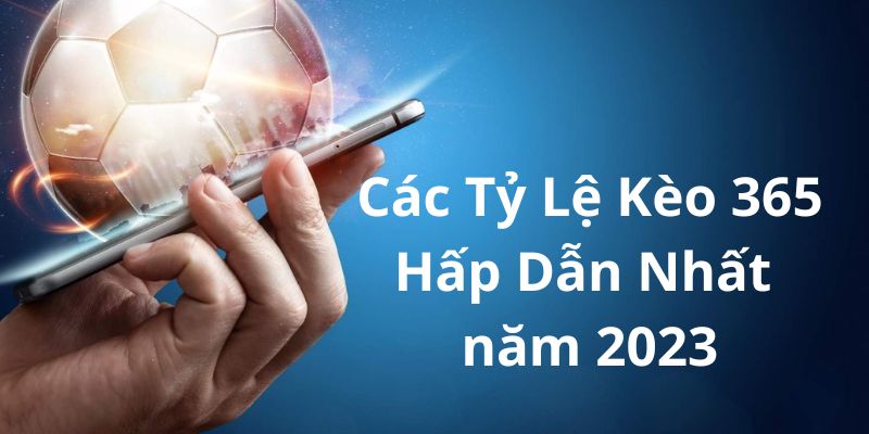 Kèo 365 cung cấp những chuyên mục nào?