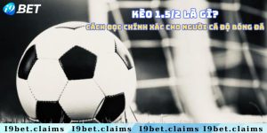 Kèo 1.5/2 là gì & Cách đọc chính xác cho người cá độ bóng đá